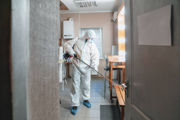 Best Industrial Mold Remediation  in Garden City, MI