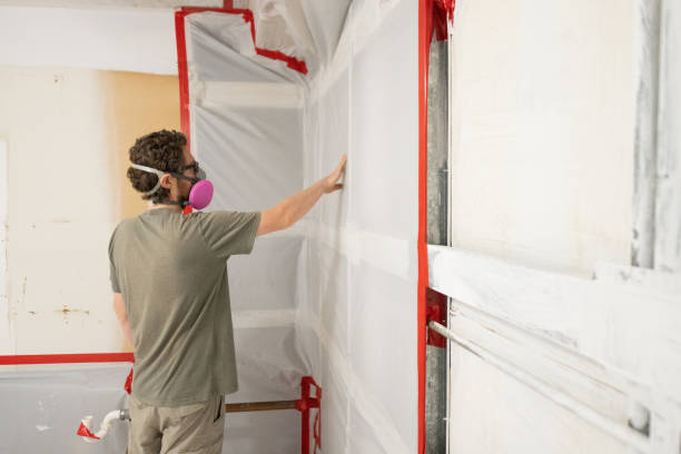 Best Crawl Space Mold Remediation  in Garden City, MI