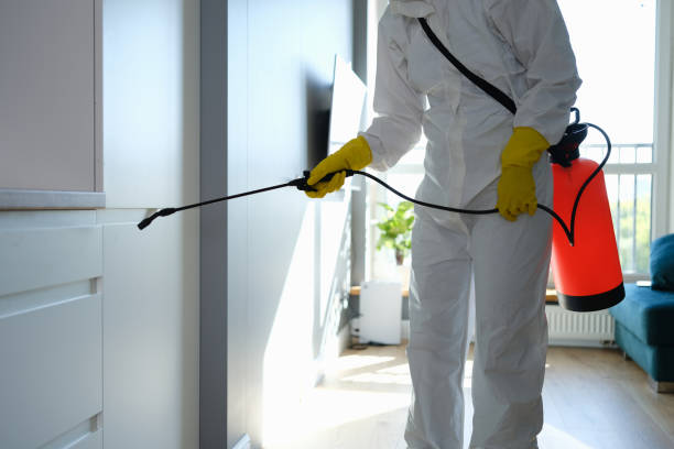 Best Forensic Mold Investigation  in Garden City, MI