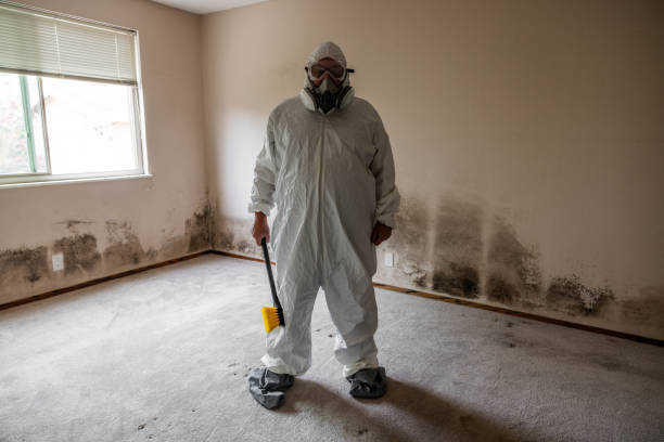 Best Biohazard Mold Removal  in Garden City, MI